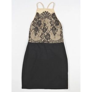 Lace Bodycon Dress